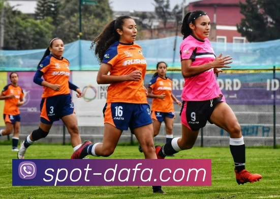 大发彩票服务体系